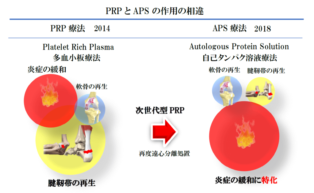 PRPとAPS の作用の相違