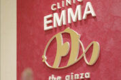 CLINIC EMMA the ginza_内観