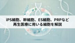 【iPS細胞、幹細胞、ES細胞、PRPなど】再生医療に用いる細胞を解説